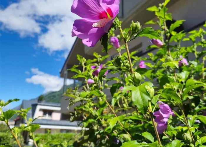 La Casa Delle Margherite - Tirano